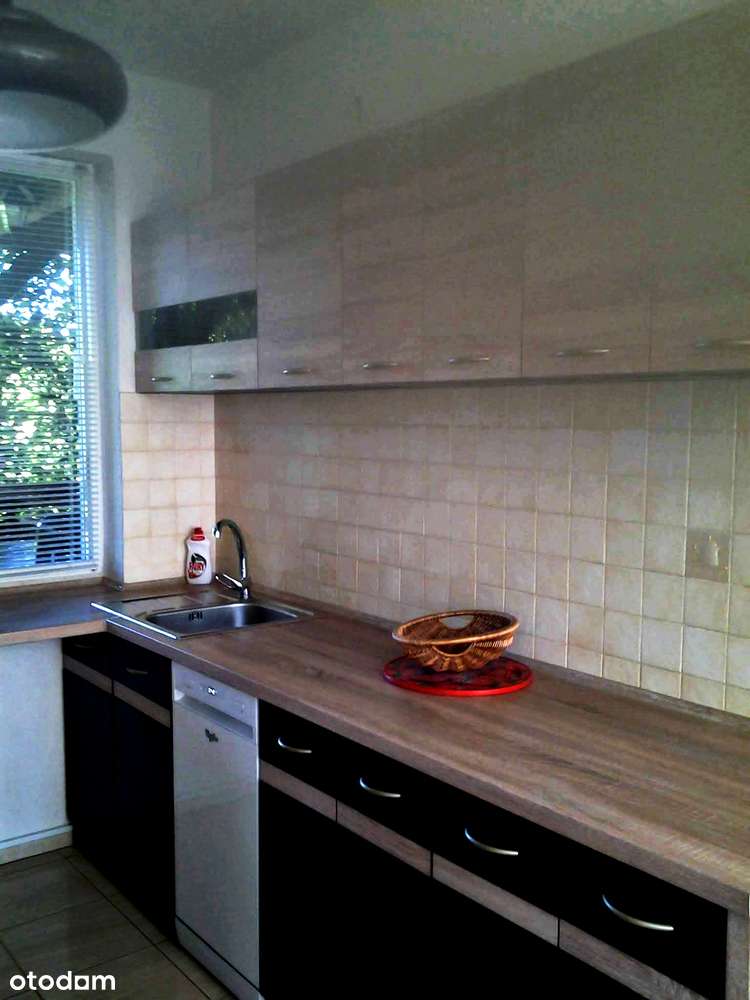 Natura, cisza, kameralność, śpiew ptaków-15