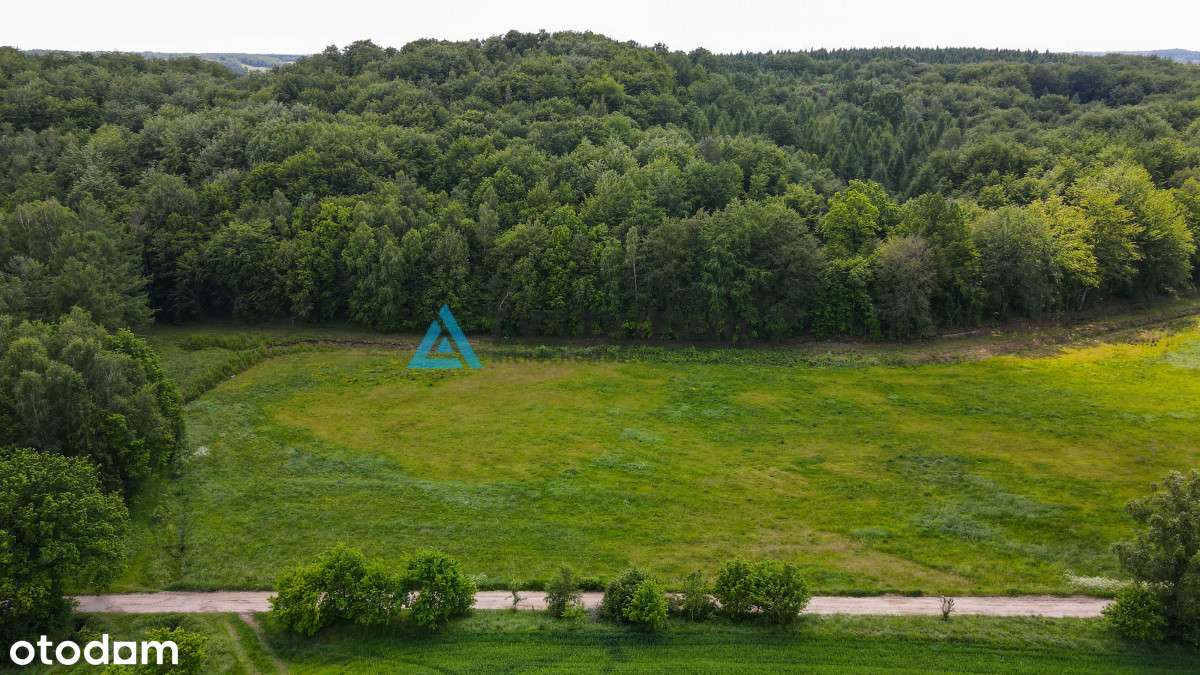 Duża działka budowlana  blisko jeziora  Trzepowo - Pełny obrazek: 5/20