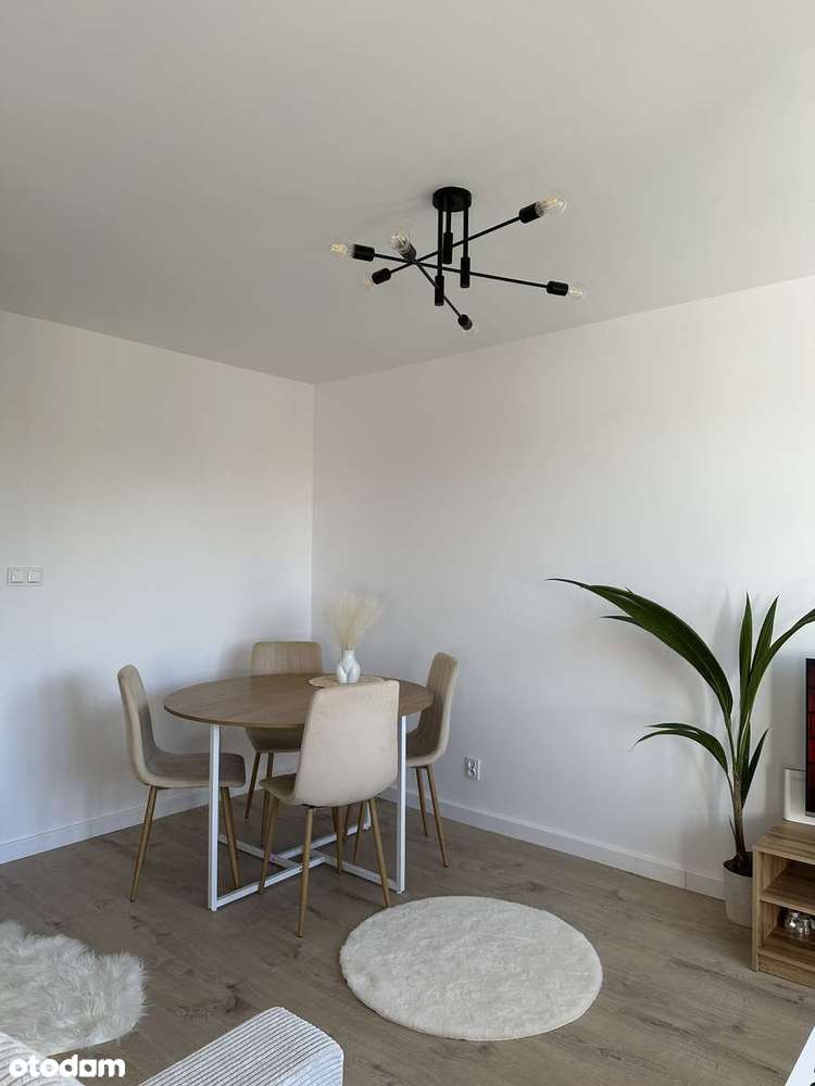 Nowe, Wyposażone Mieszkanie -Gotowe do zamieszkania/Cena do negocjacji - Pełny obrazek: 4/20