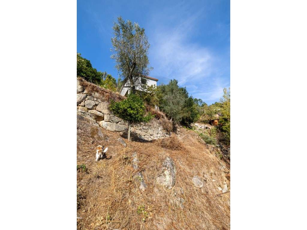 Propriedade com Vista Panorâmica para o Douro Moradia e Terreno com...-51