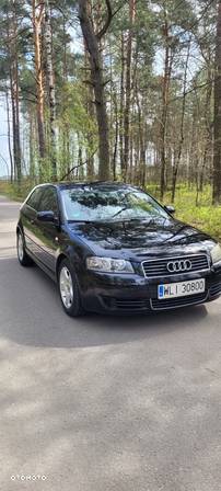 Audi A3 1.9 TDI Attraction - 7