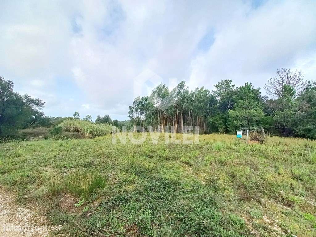 Terreno com 3720m2 junto à estrada principal da Cumeira, Porto de Mós - Grande imagem: 4/4