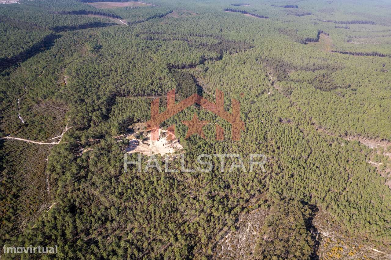 Terreno Florestal / Pinhal / Área Total de 59.400m2 / Nazaré - Grande imagem: 4/28