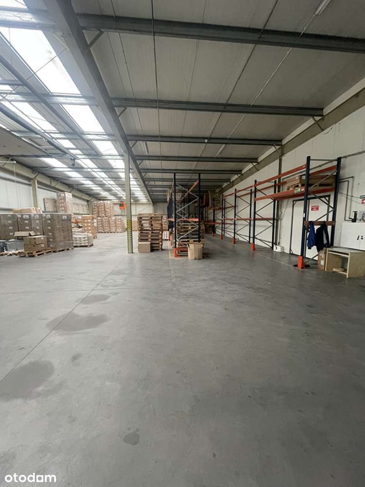 Hala produkcyjno-magazynowa - Janowiec Wielkopolski - Pełny obrazek: 5/8