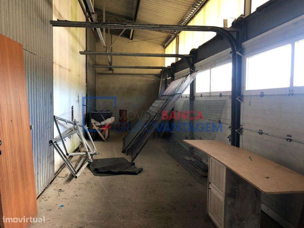 ARMAZÉM SINTRA - Grande imagem: 5/16