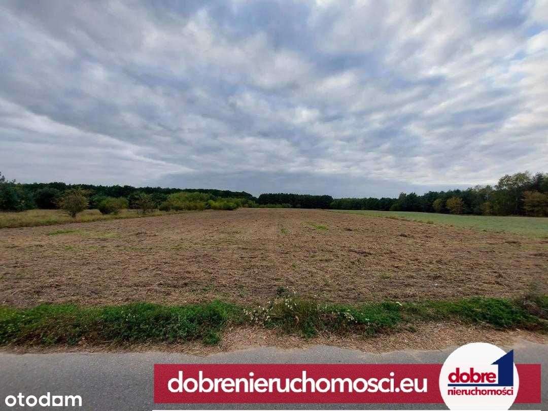 Rewelacyjna działka 26 489 m2, Myślęcinek - Pełny obrazek: 3/3