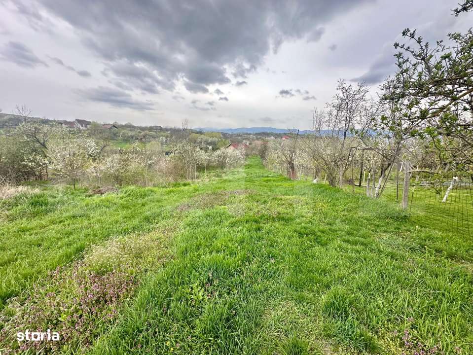 Teren intravilan de vanzare – 728 mp, Oarda de Sus, cu priveliste pa - Imagine principală: 2/4