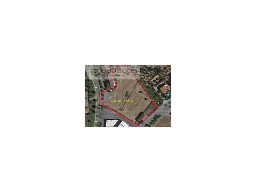 Terreno com Elevado Potencial para Grande Área Comercial - Fundão-0