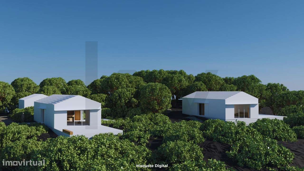 Investimento Exclusivo no Pico: Terreno com Projeto Aprovado (5.320m2) - Grande imagem: 2/28