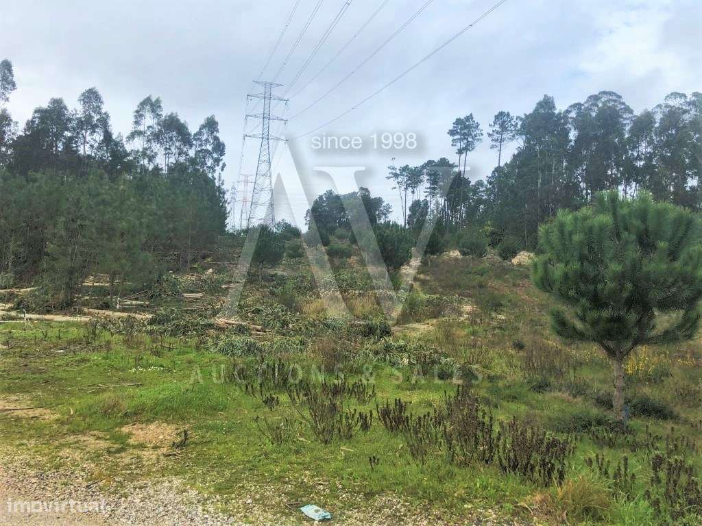 TERRENOS _ LEIRIA | LEILÃO ELECTRÓNICO | FIM 07*JAN - Grande imagem: 5/6