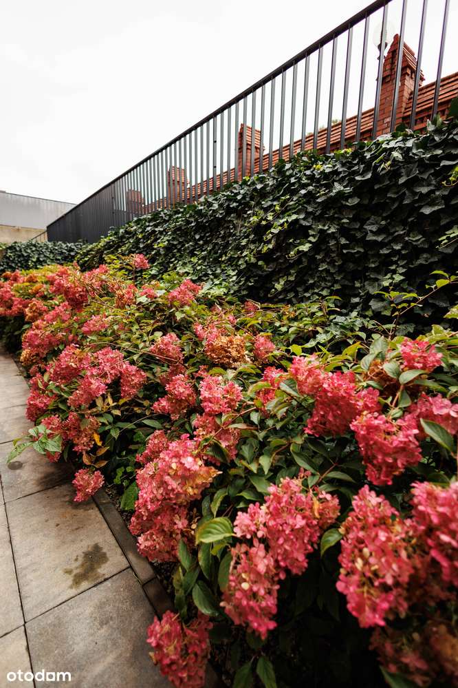 Wyjątkowy trzykondygnacyjny loft premium w sercu Torunia.-16