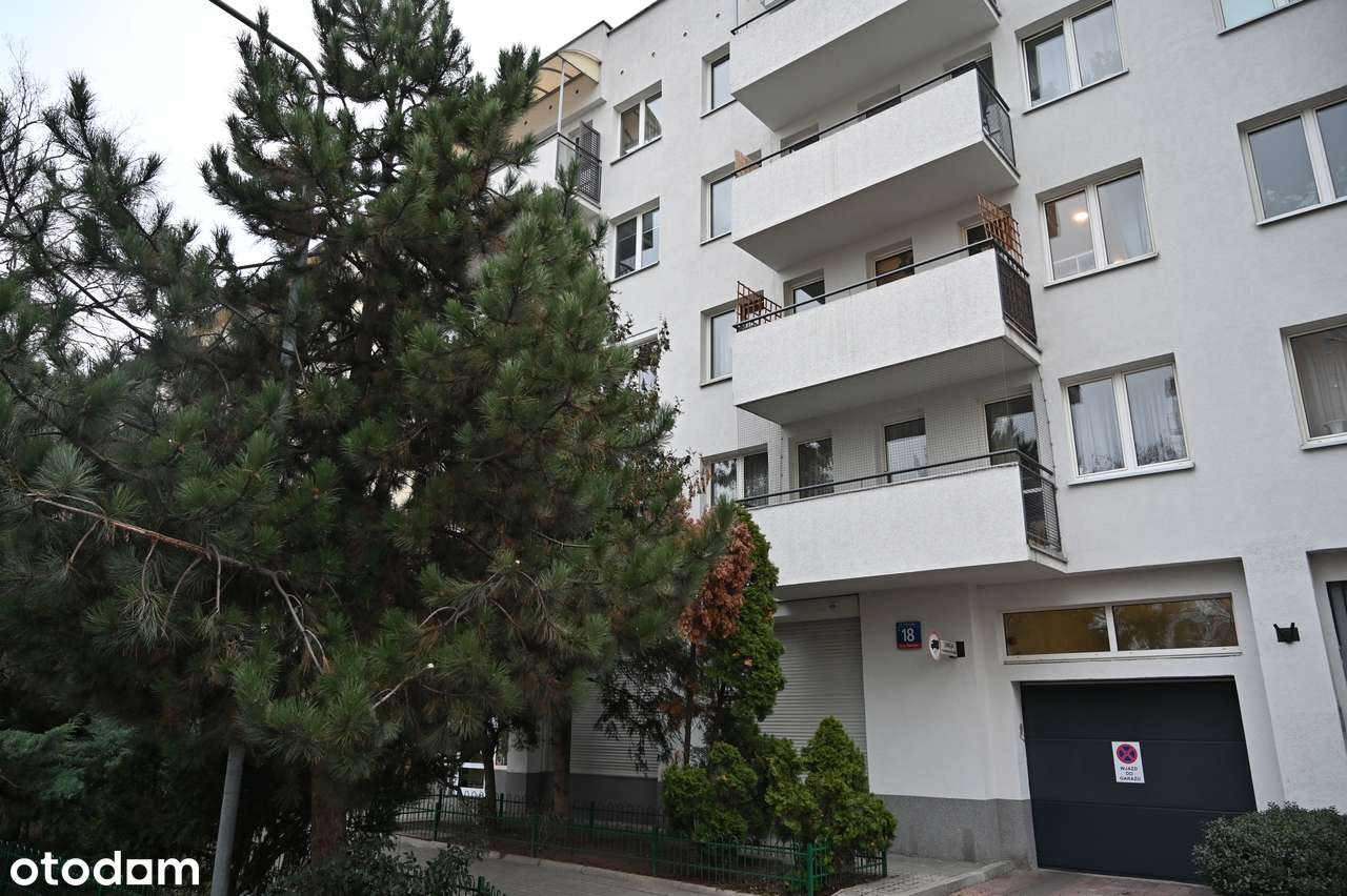 Lokal usługowy z trzema witrynami - do wynajęcia bezpośrednio - Pełny obrazek: 2/3