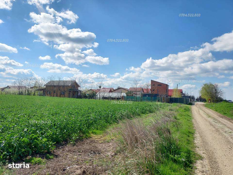 Teren intravilan 539 mp Berceni, Ilfov – RATE 36 luni, avans mic - Imagine principală: 3/6