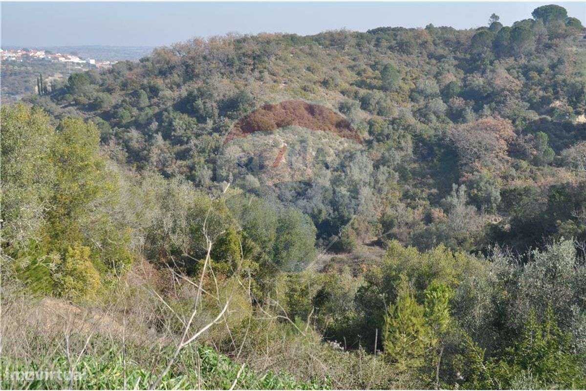 Terreno  para venda - Grande imagem: 3/7