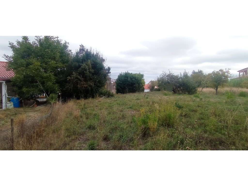 Adega / Armazém com projecto de arquitetura para conversão em morad...-12