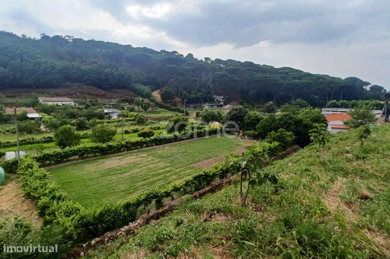 Terreno urbano para construção | Arganil - Grande imagem: 2/26