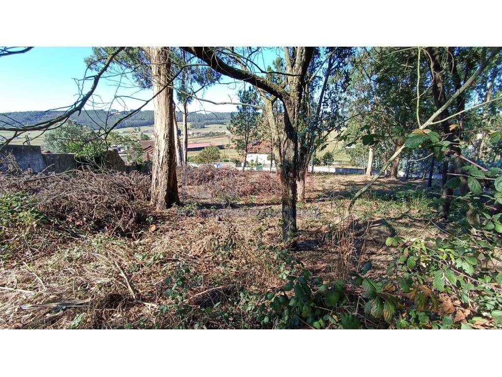 Lote de terreno em rates - Grande imagem: 4/11