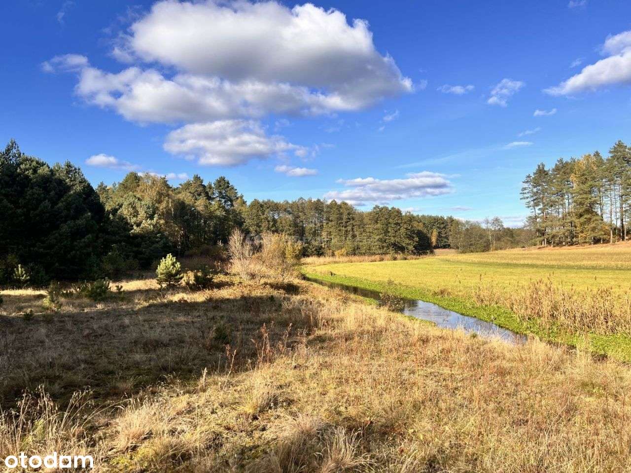 Działka siedliskowa z linią brzegową, przy lesie-3