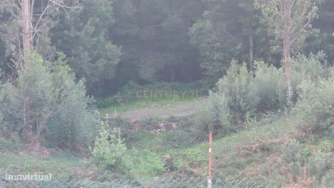 Terreno Rustico em Crestuma, Vila Nova de Gaia-8