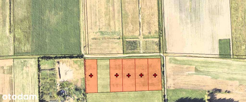 Działka w Santocku! - Pełny obrazek: 5/5