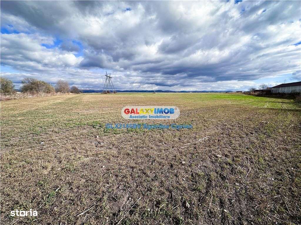 Teren Halchiu 5000 mp cu utilitati si puz - Imagine principală: 4/8