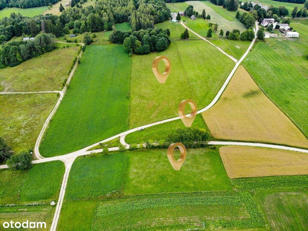 2km od jez. Hańcza | 1251m2, 2199m2, 1.17ha - Pełny obrazek: 1/19