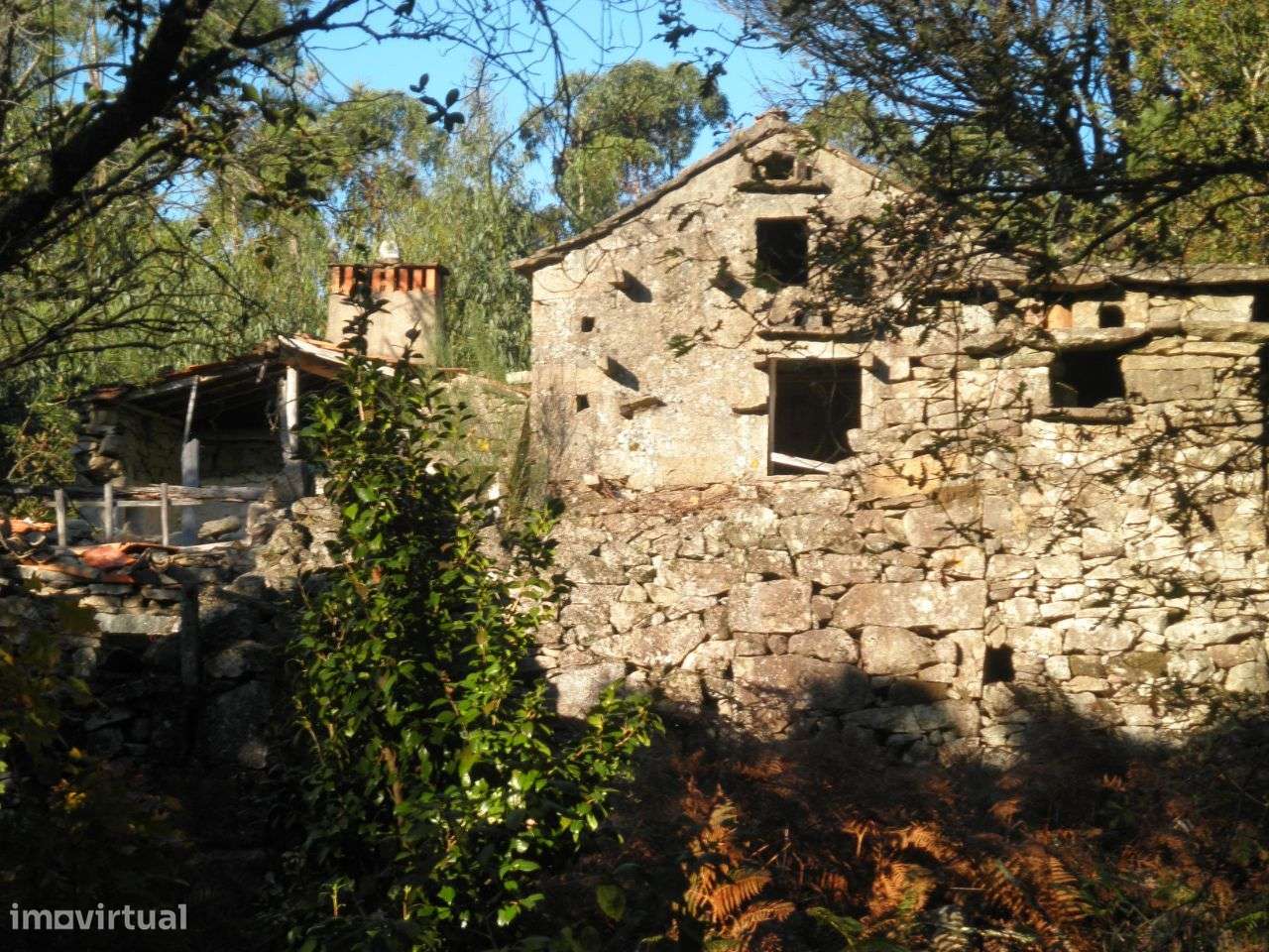 Quinta – Sever do Vouga - Grande imagem: 4/30