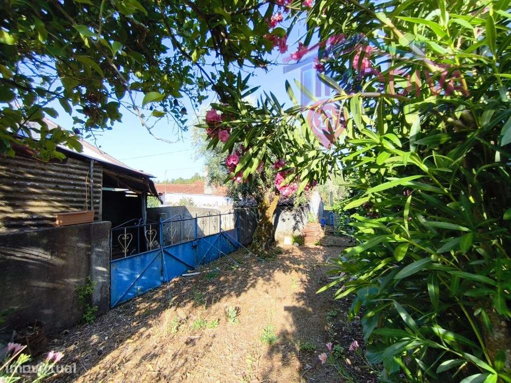 Moradia Isolada T3 com Terreno e Garagem em Bairradas, Figueiró dos...-34