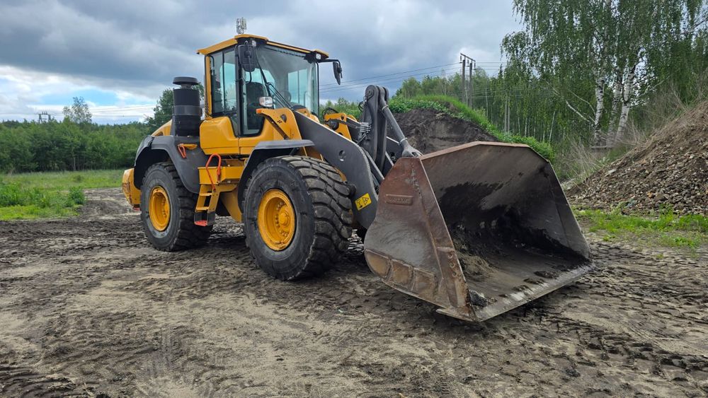 Volvo L110h 2019
