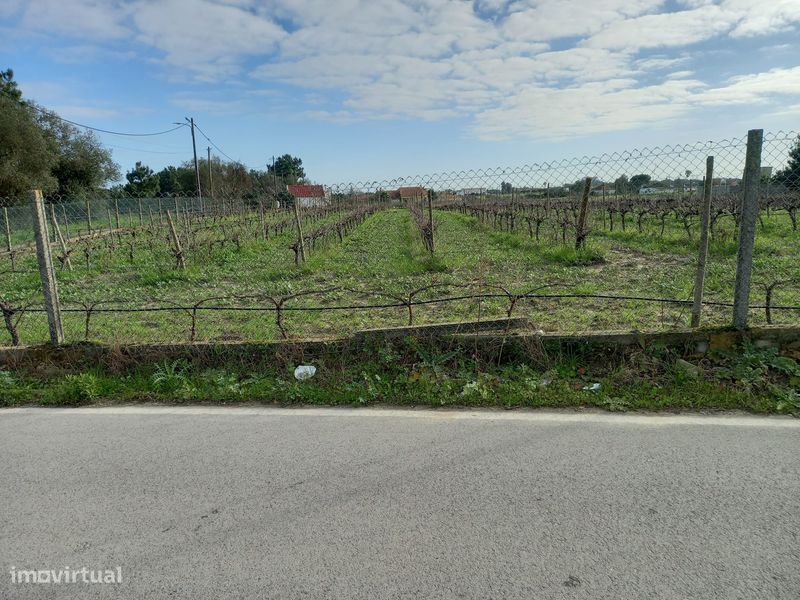 Terreno em Cajados (Palmela)