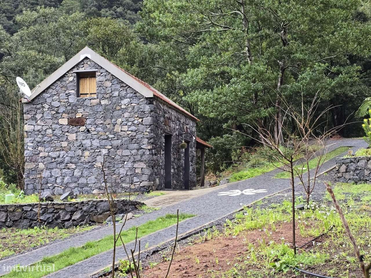 LOTE 1581M2 COM 3 PALHEIROS - Grande imagem: 2/15