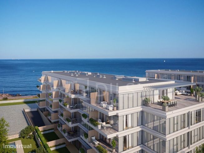 Sal D'ouro Horizon-35