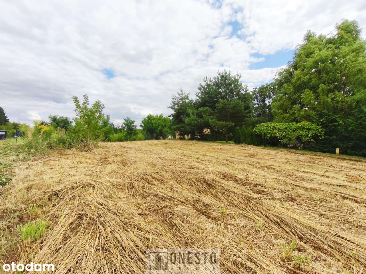 Działka budowlana, jednorodzinna 15a z pięknym widokiem Dąbrowica - Pełny obrazek: 4/9