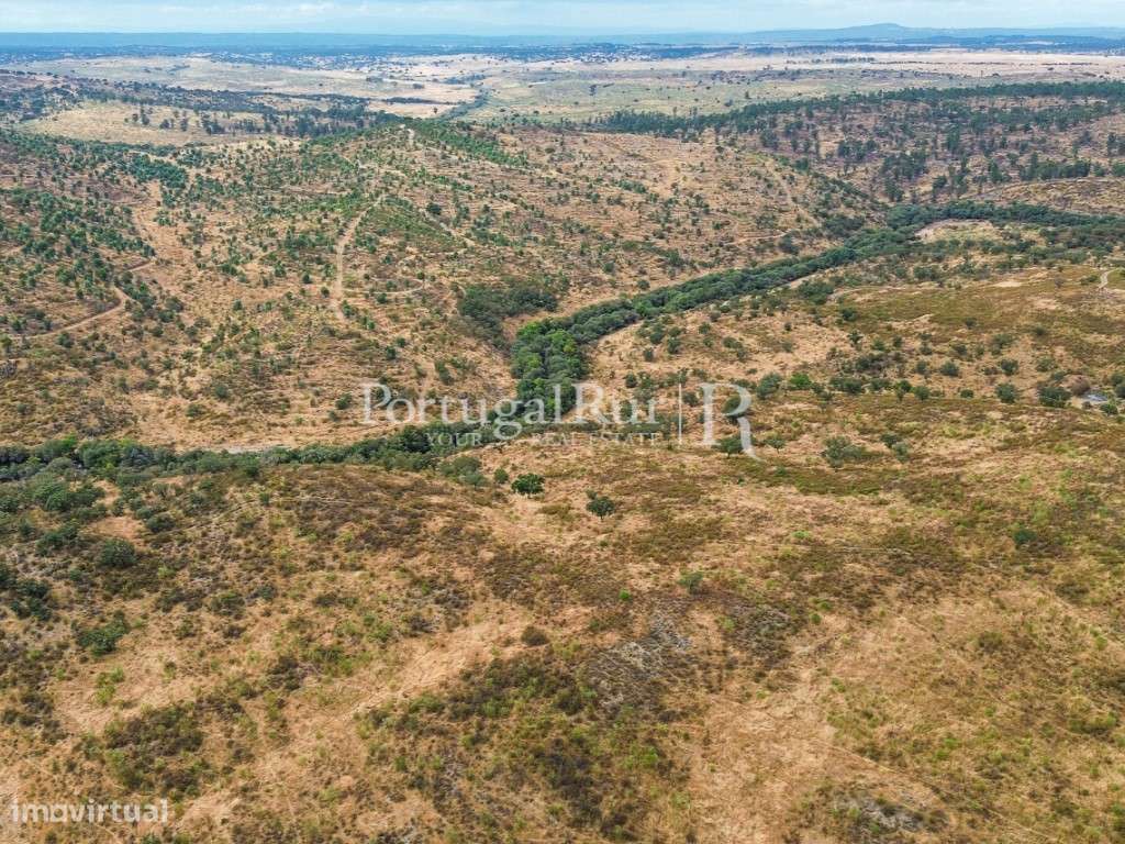 Propriedade agroflorestal com 39 hectares em Idanha-a-Nova - Grande imagem: 5/12
