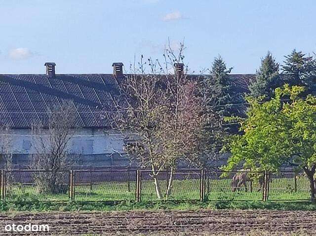 Dom z halą usługową-8