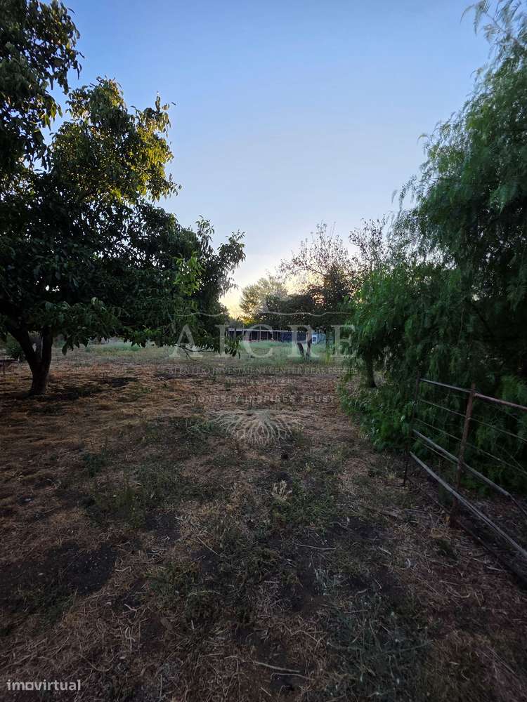 Moradia T2 + Lote de Terreno para construção em Santiago do Escoural-28