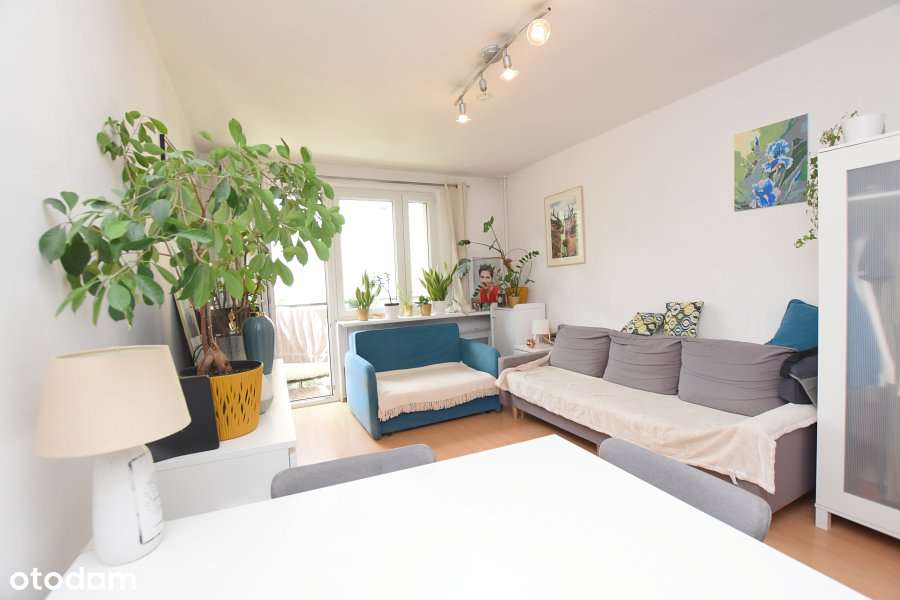 NA SPRZEDAŻ  2- POKOJOWE MIESZKANIE OSOBNA KUCHNIA-0