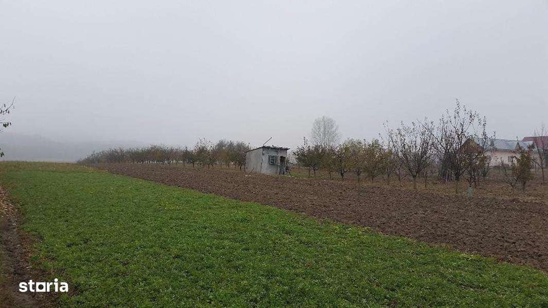 Casa Mitoc-Lipoveni de vanzare - Imagine principală: 5/6