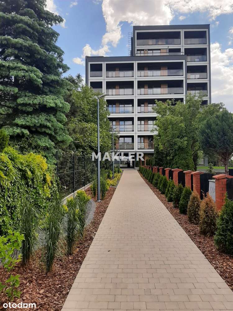 Mieszkanie na wynajem, Bydgoszcz, 1 pokój
