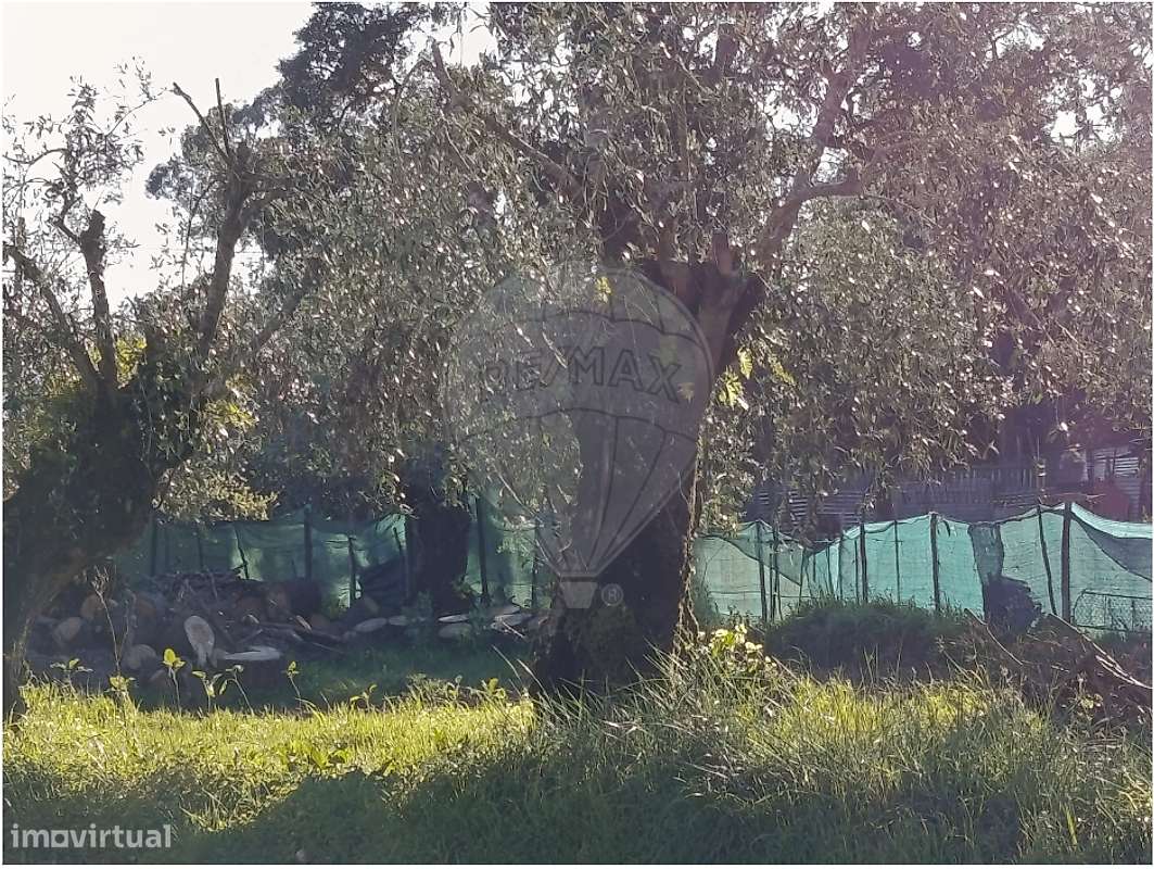 Terreno  para venda - Grande imagem: 4/10