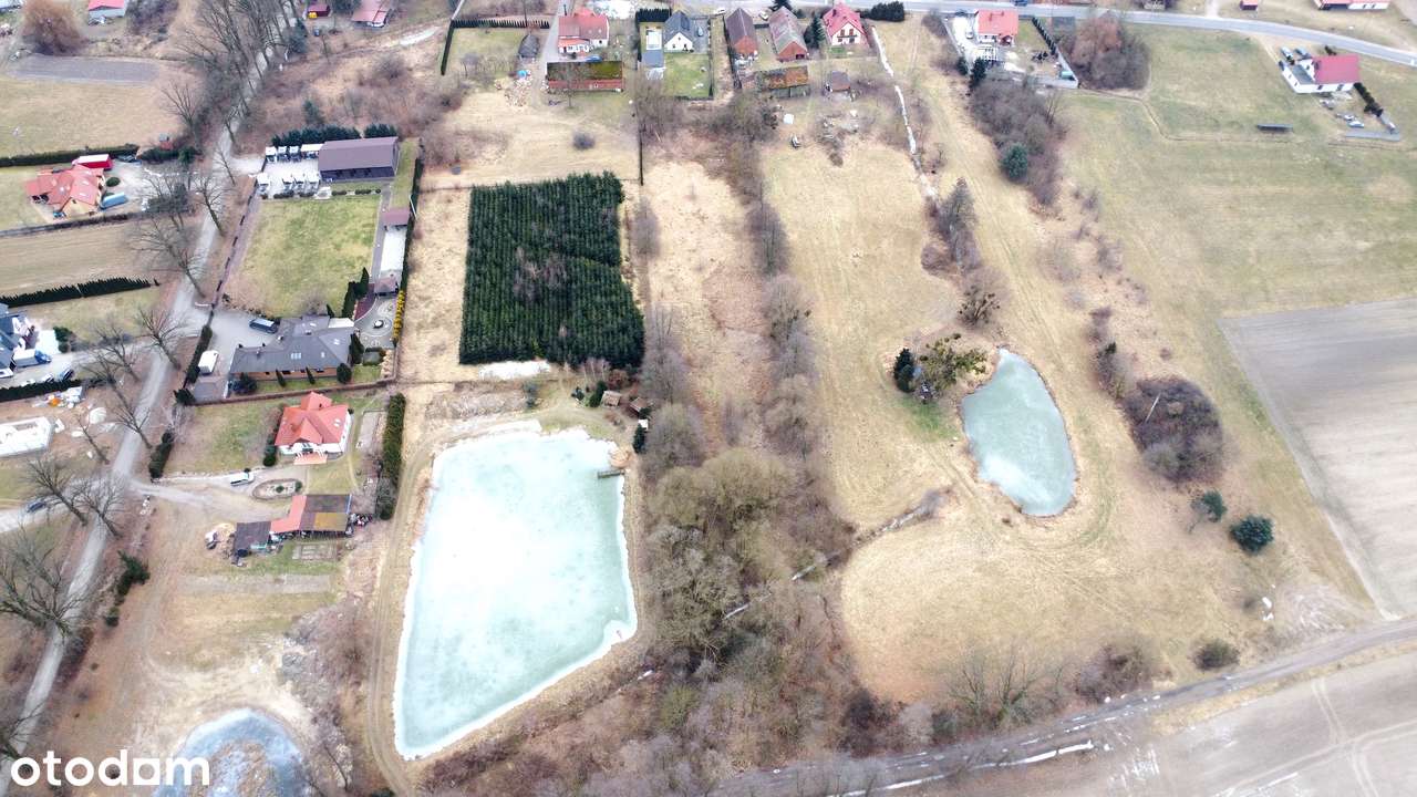 50 arów | Działka budowlana | Ogrodzona | Dojazd asfaltowy  Gogołowice-3