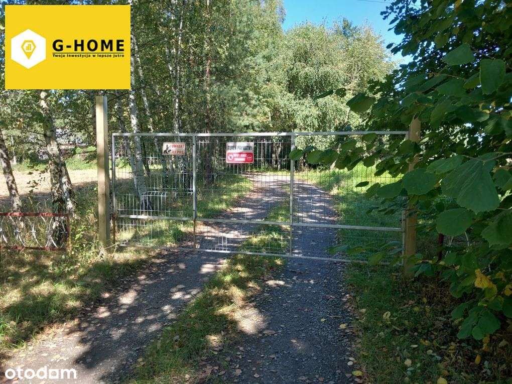 Tereny zielone - Działka z potencjałem-2