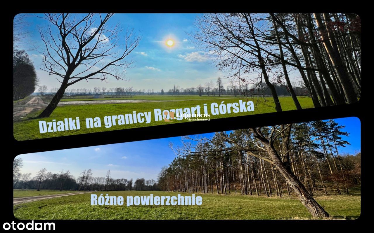 Działki na granicy Rozgart a Górska. Bez prowizji