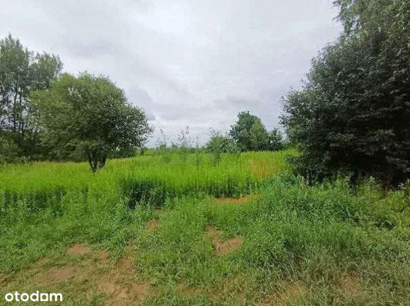 DZIAŁKI NA SPRZEDAŻ – WOŁOWICE, ul. Pod Brzozami (k. Krakowa ) - Pełny obrazek: 5/8