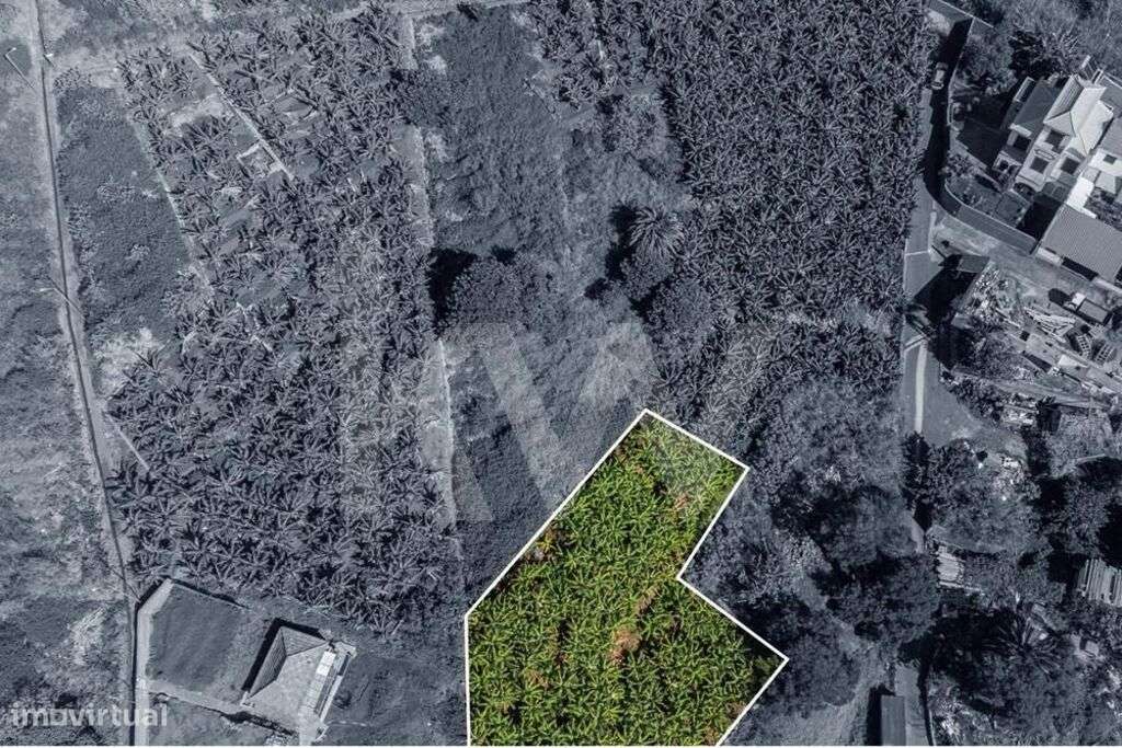 Terreno Urbanizável - 831m2 - São Martinho | Funchal - Grande imagem: 4/22