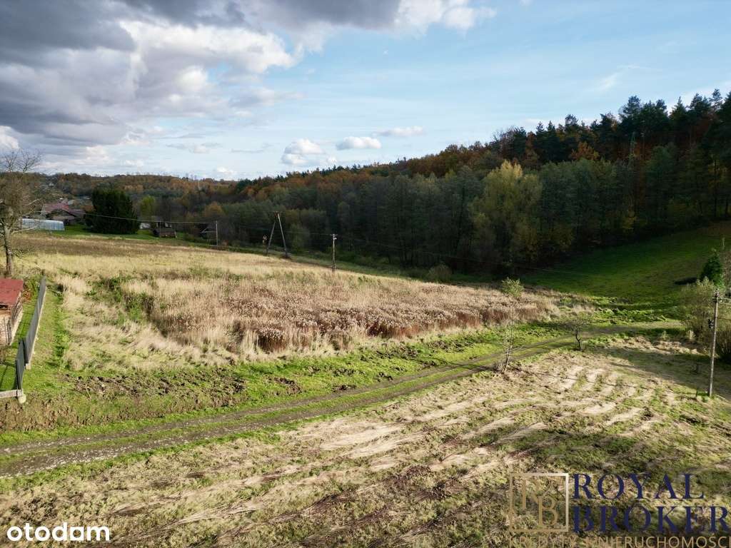 Działka przy granicy Rzeszowa | Widok na las 22a - Pełny obrazek: 5/5