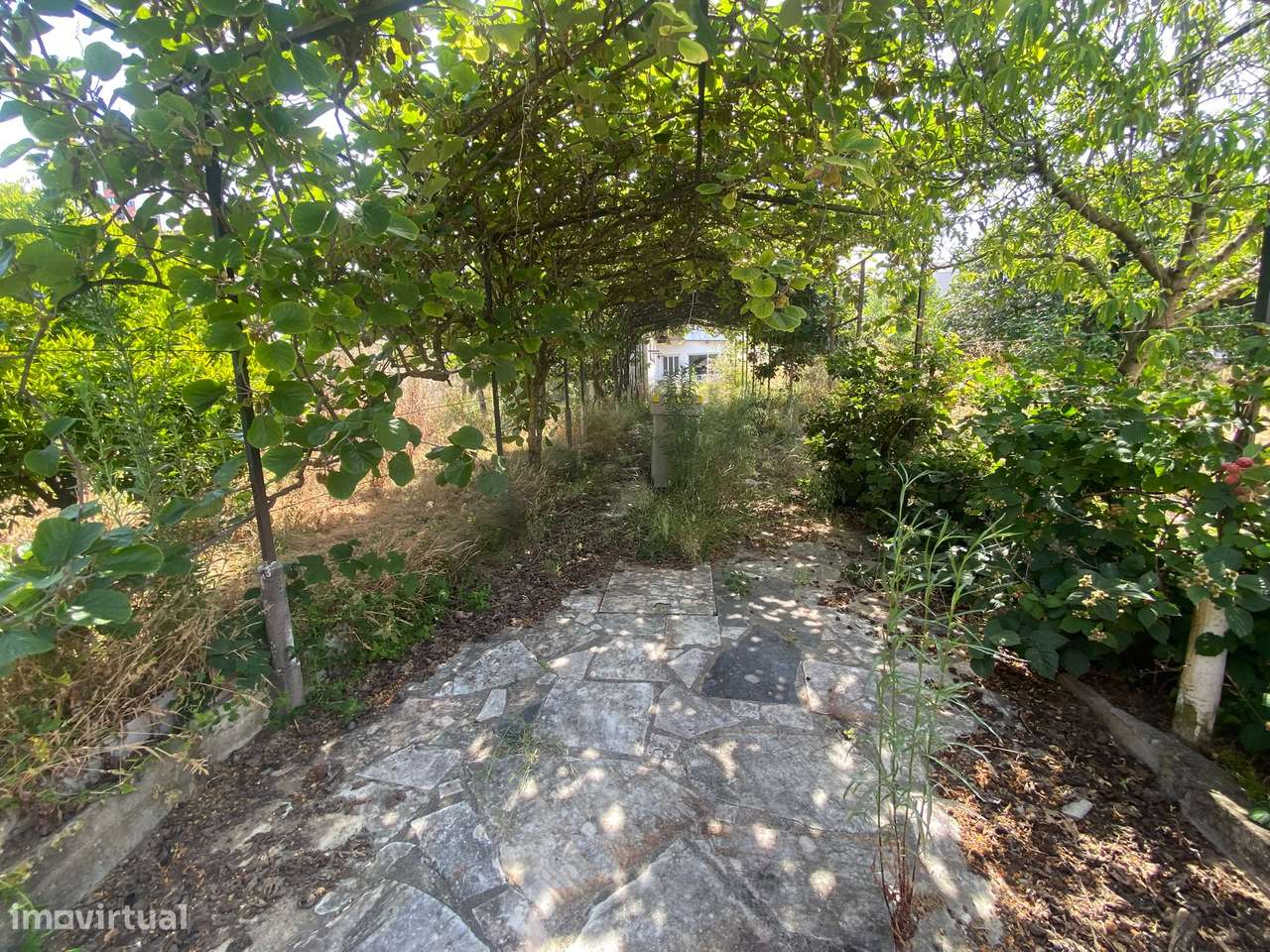 Terreno para Construção de 4 Moradias com Loteamento Aprovado-3