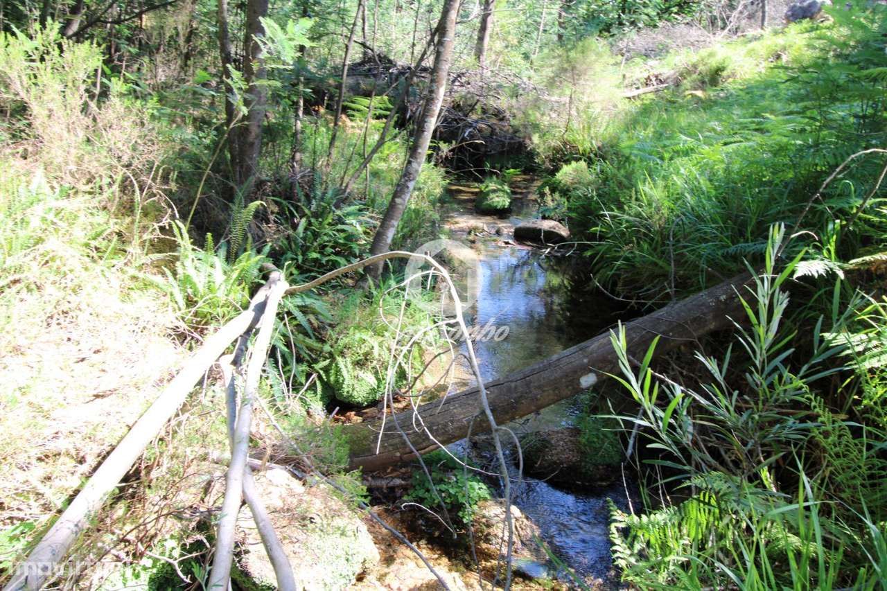 Terreno rústico com 11.000m2 em Terras do Bouro - Grande imagem: 5/10