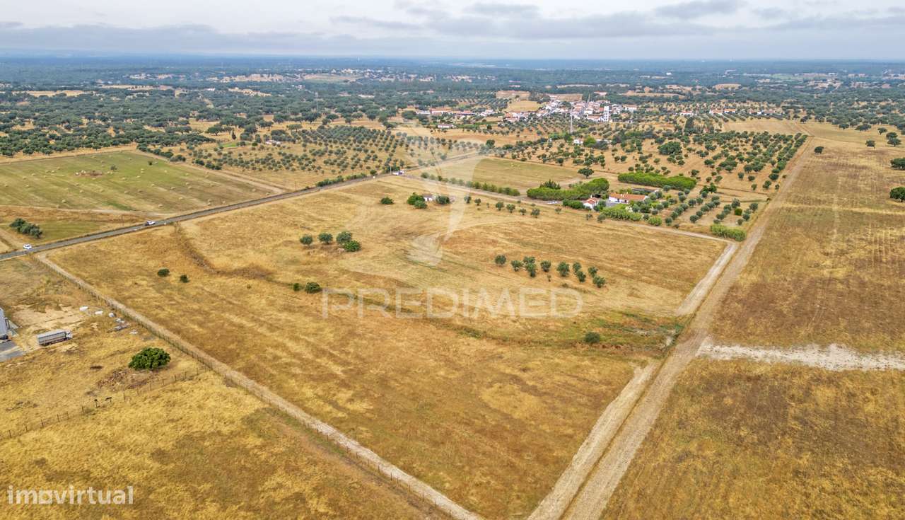 Quinta com 2,8250 ha e ruínas com 46 m2 em Fornalhas Velhas - Grande imagem: 4/25