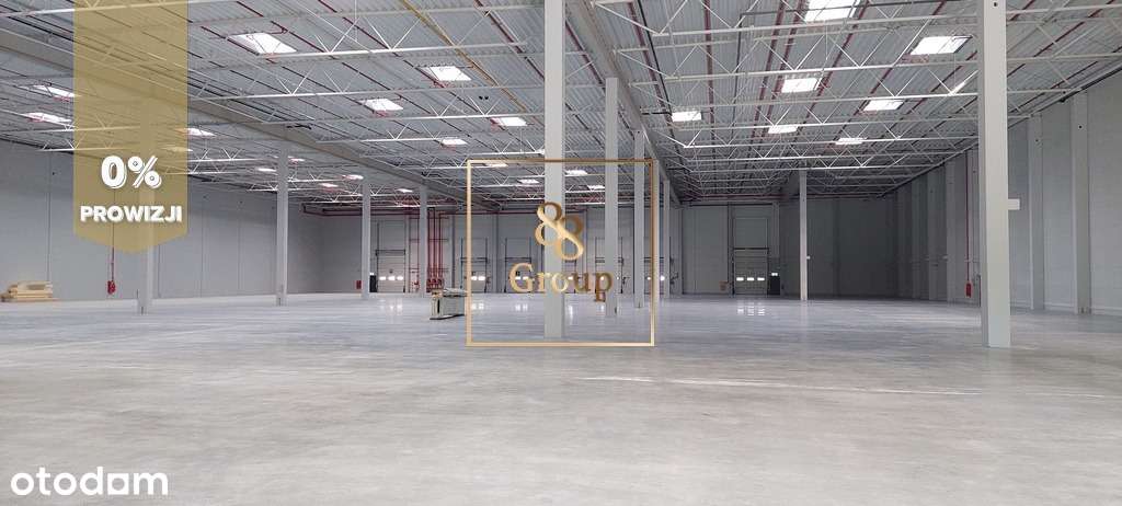 Do wynajęcia magazyn 3000m2 w Ursusie - Pełny obrazek: 1/4